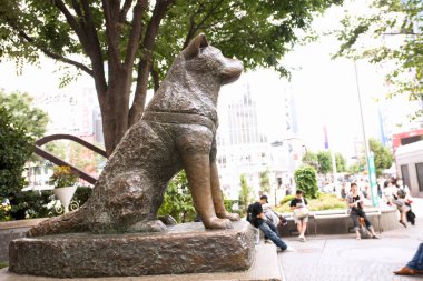 Hachiko Heykeli. Tokyo Shibuya İstasyonu 'ndaki Akita köpeğinin heykeli.. 