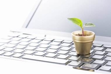 Beyaz arka planda yeşil bitkisi olan bilgisayar klavyesi.