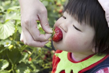 Asyalı çocuk çilek yiyor.