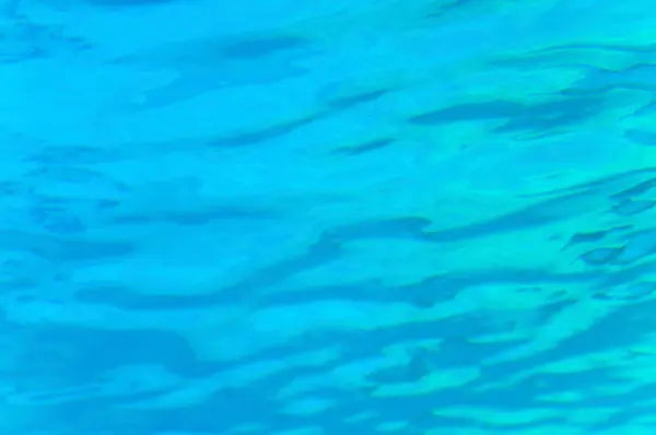 Onderwaterfoto Met Vissen Die Het Aquarium Zwemmen — Stockfoto