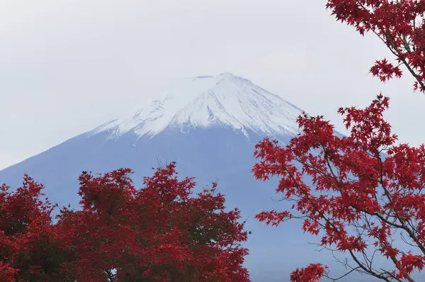 Beautiful Fuji Mountain Japan — Stock Photo, Image
