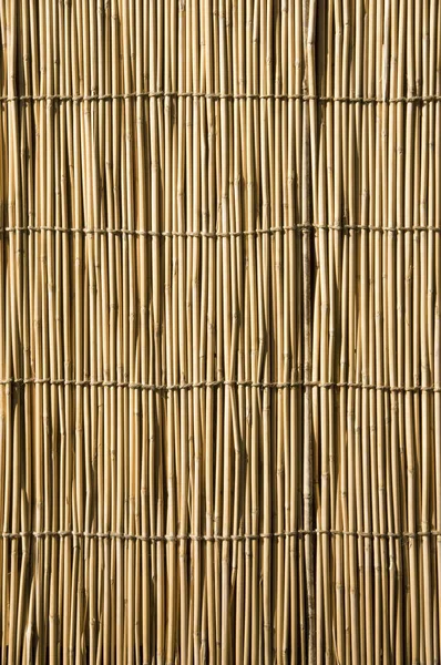 Close Bamboo Texture Background — Stock Photo, Image