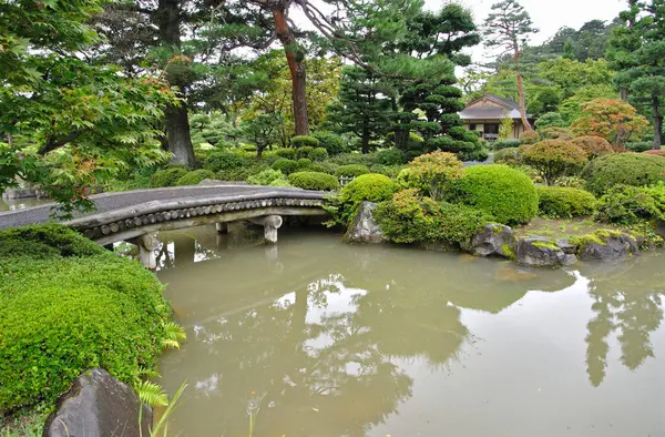 Tokyo, Japonya 'daki Japon bahçesi.  