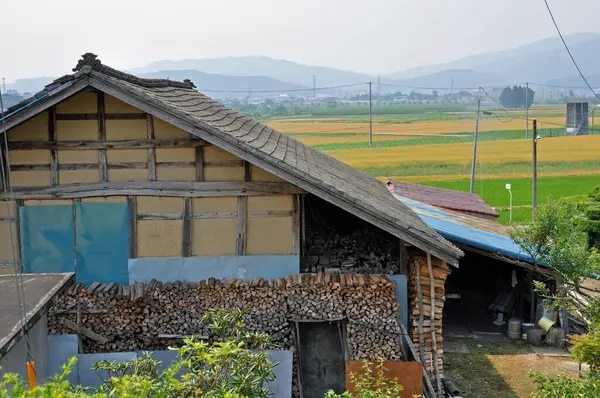 Yığınla yakacak odun ve tarlaları olan taşralı çiftlik evi.
