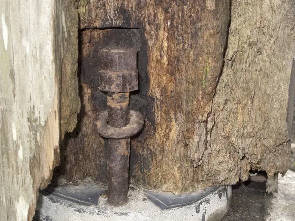 Paslı metal cıvata, aşınmış ahşap yüzeyden dışarı çıkıyor.