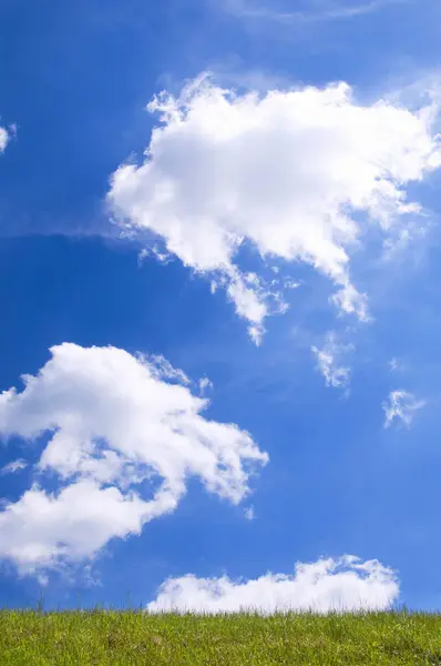 Césped Verde Con Cielo Azul Nubes — Foto de Stock