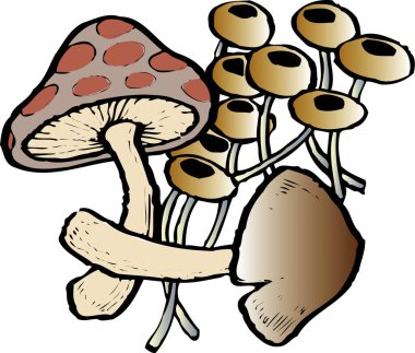 Beyaz arkaplanda çizgi film mantarlarının çizimi 