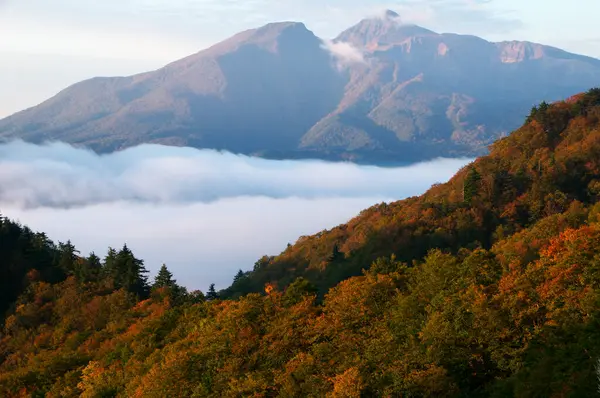 Όμορφο Τοπίο Φθινόπωρο Βουνά Ομιχλώδη Πρωί — Φωτογραφία Αρχείου