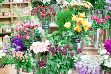 Güzel çiçekler, yakın görüş, doğa konsepti.