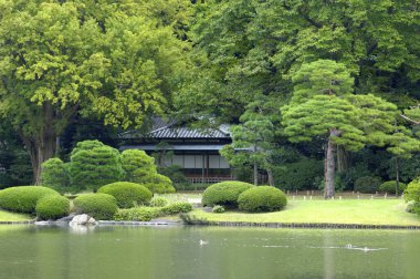Kyoto, Japonya 'daki güzel Japon bahçesi.