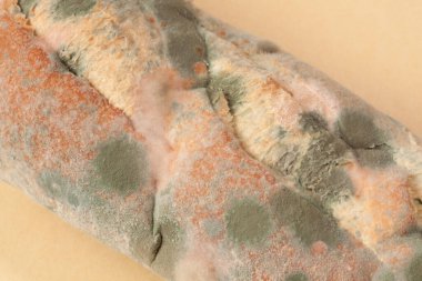 Küflü ekmeği kapat.