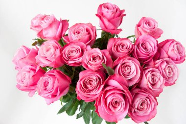 güzel taze pembe güller beyaz zemin üzerine