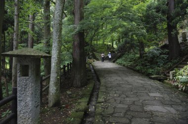 Yaz boyunca yeşil şehir parkı 