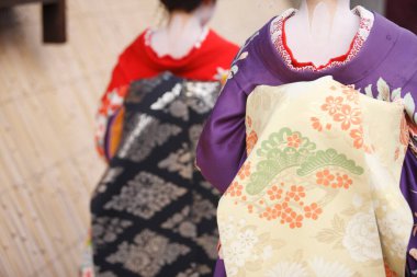 Geleneksel Japon kostümü giyen iki genç Asyalı kadın, orta bölüm.