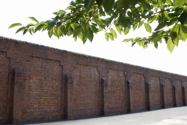 Yapraklı yeşil dalların altında uzanan güneşli tuğla bir duvar.