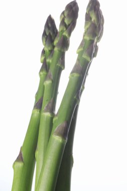 Beyaz arka planda taze organik kuşkonmazın yakın plan görüntüsü        