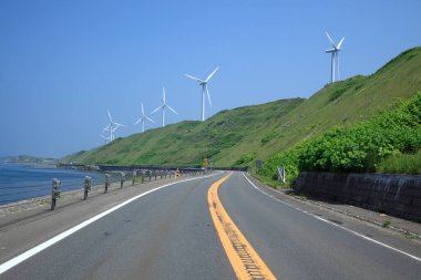 Rüzgar türbinleri ve deniz doğanın arka planında