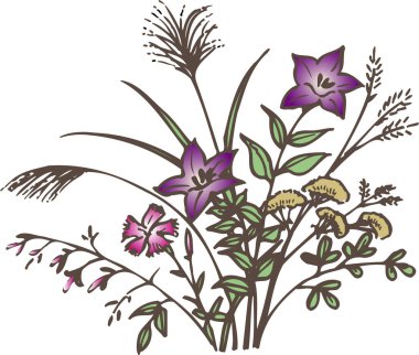 Beyaz arka planda yeşil bitki, ev çiçeğinin el yapımı çizimi.