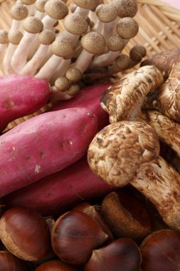 Matsutake mantarları, kestaneler, tatlı patatesler...