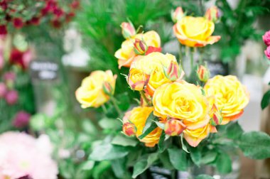 Vazodaki güzel gül buketi.