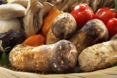 Hasır sepette farklı mantar ve sebzeler, yakın plan.             