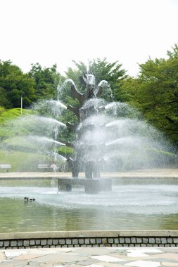 Japon bahçesi. Setagaya Parkı