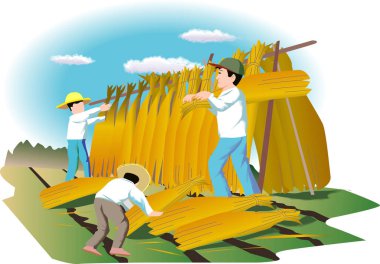 İnsanlar açık havada güneşli gökyüzünün altında sarı yaprakları kurutuyorlar.