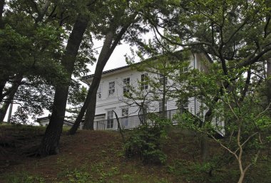 Yüksek yeşil ağaçların arasında duran beyaz ahşap ev.