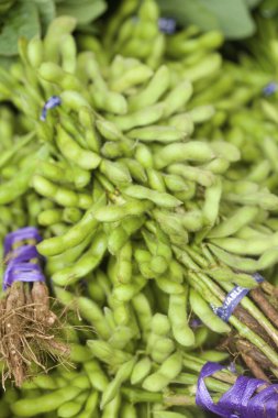 Pazardaki taze taze fasulyelerin yakın plan görüntüsü