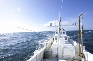 Deniz kıyısındaki tekne doğa arka planında.
