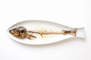 Beyaz bir yüzeyde balık iskeleti. Yaklaş.