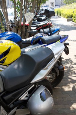 Yeşil çalıların yanında güneşli kaldırım boyunca park etmiş motosikletler.