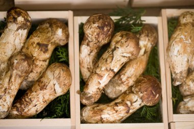 Bir kutuda mantar yakın çekim