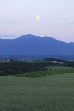 Manzaralı doğa manzarası Tokachidake, Hokkaido, Japonya
