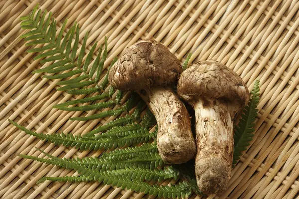 竹席上新鲜有机蘑菇和绿色蕨叶的特写 — 图库照片