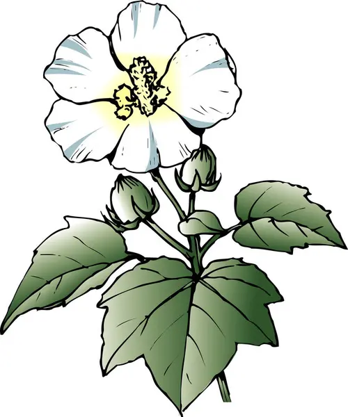 Ręcznie Rysowane Kwiat Białym Tle — Zdjęcie stockowe