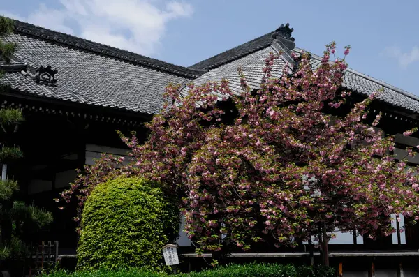 Schilderachtige Shot Van Prachtige Oude Japanse Tempel Architectuur — Stockfoto