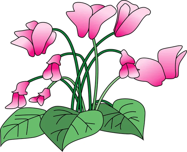 Grüne Pflanze Auf Weißem Hintergrund Handgemachte Illustration Der Hausblume — Stockfoto