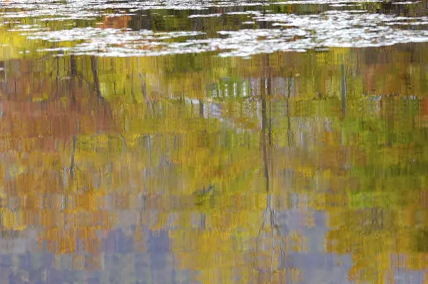 Kolorowe Odbicie Wody Jesienią — Zdjęcie stockowe