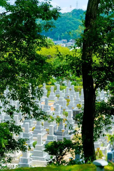 Cementerio Con Tumbas Verano Japón Fondo — Foto de Stock
