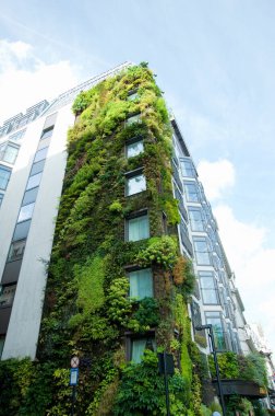 Çağdaş bina yemyeşil dikey bahçe bitkileriyle kaplı.