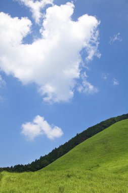 Mavi gökyüzü arka plan ile yeşil alan 