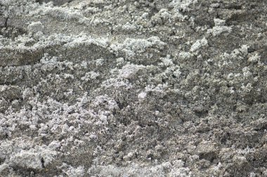 Doğal taş duvarı kapatın. Taş duvar dokusu