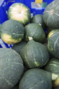 Pazarda satılık taze yeşil balkabaklarının yakın plan görüntüsü.