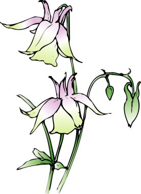 Beyaz üzerine izole edilmiş çiçeklerin çizimi