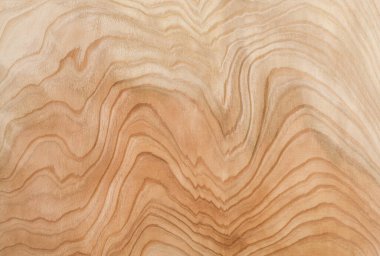 Soyut ahşap doku, doğal ahşap zemin 