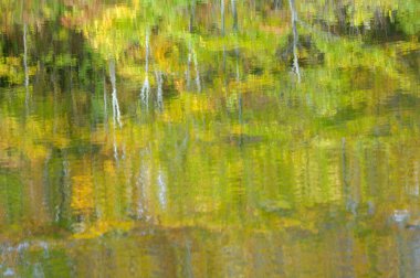 Sudaki gölün yansıması.