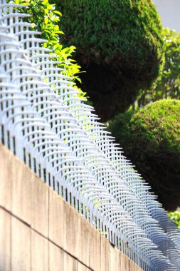 Sivri metal güvenlik çivileri yeşil çalıların yakınındaki beton duvarı kaplıyor.