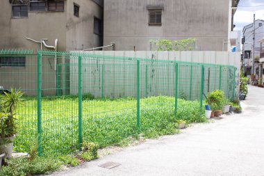 Yeşil otlar ve küçük bitkilerle dolu bir bölge.