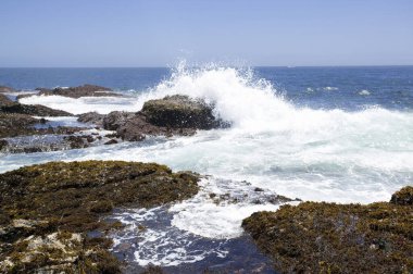 Dalgalar güzel kayalık kıyı şeridinde kırılıyor